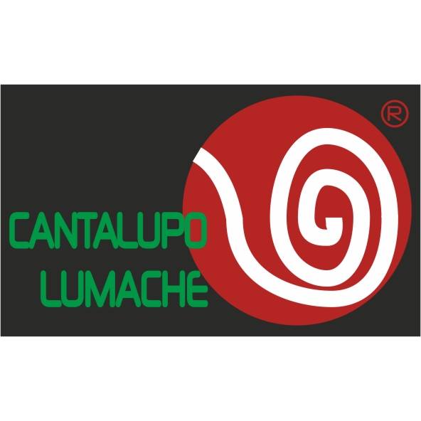 Cantalupo Lumache