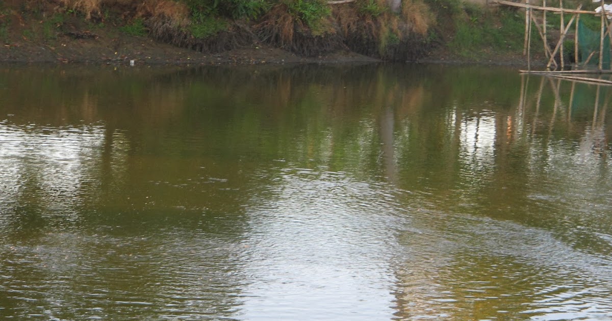 koi-pond-water-monitoring-system6.jpg