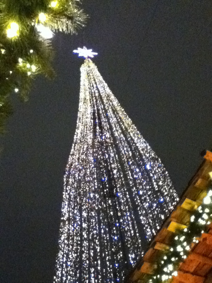 Somethings and more : Fijne kerstdagen!