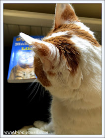 Amber's Book Reviews 97 Ways to Make a Cat Like You by Carol Kaufmann @BionicBasil® Feline Fiction on Fridays