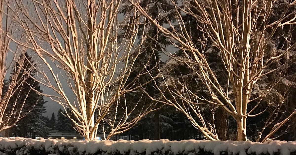 Travel Rants and Raves: Wordless Wednesday: Unexpected Snowpocalypse in ...