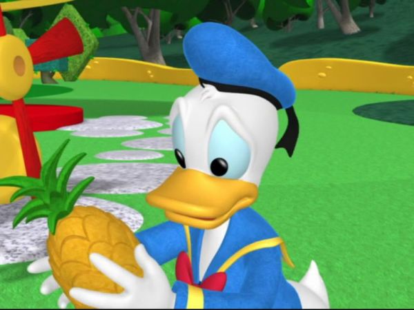 DONALD DUCK: What am I gonna do