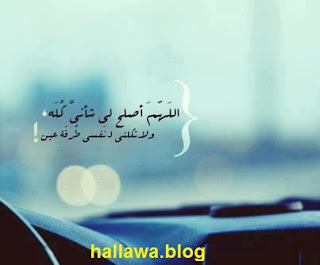 hallawa.blog