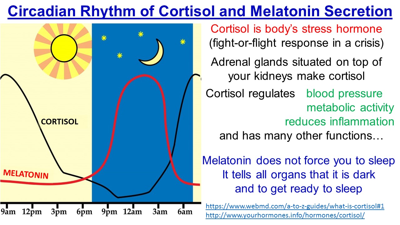 ektalks SLEEP (Part 2) Why Do We Need to Sleep? The Science of Sleep