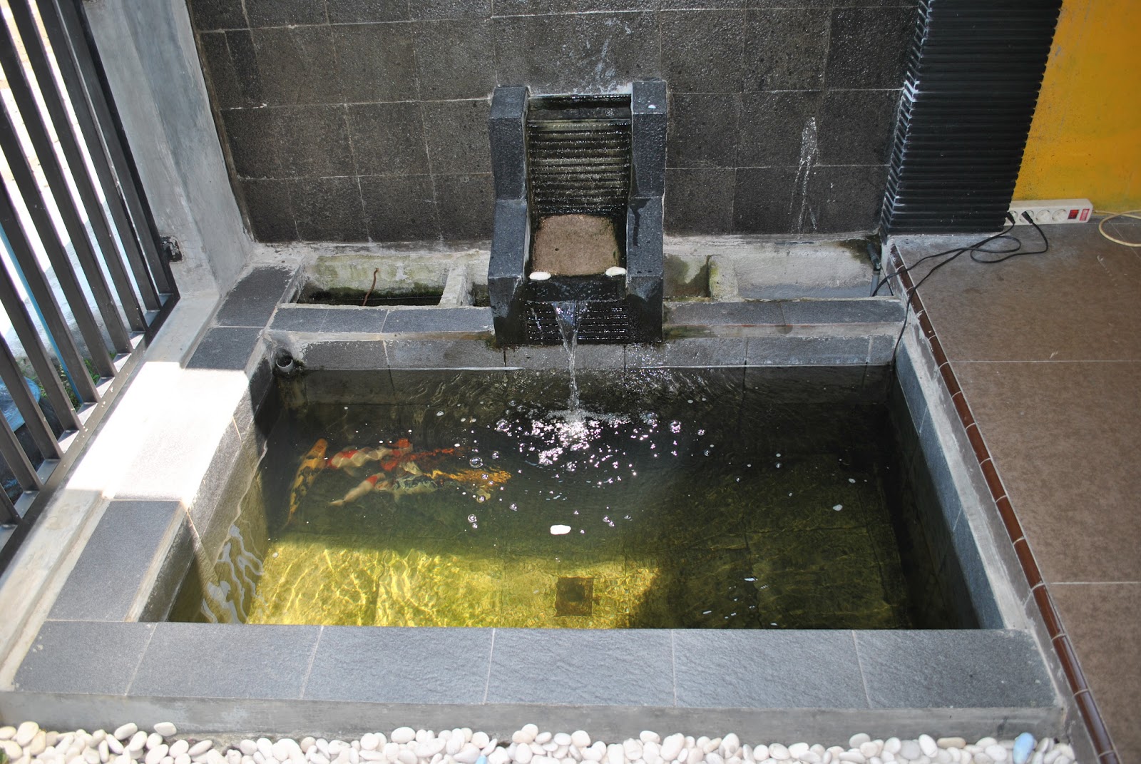 36 Keramik Dinding Kolam Ikan Terkini