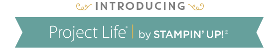 Introducing Project Life by Becky Higgins