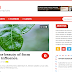 How To Setup Boxed Blogger Template