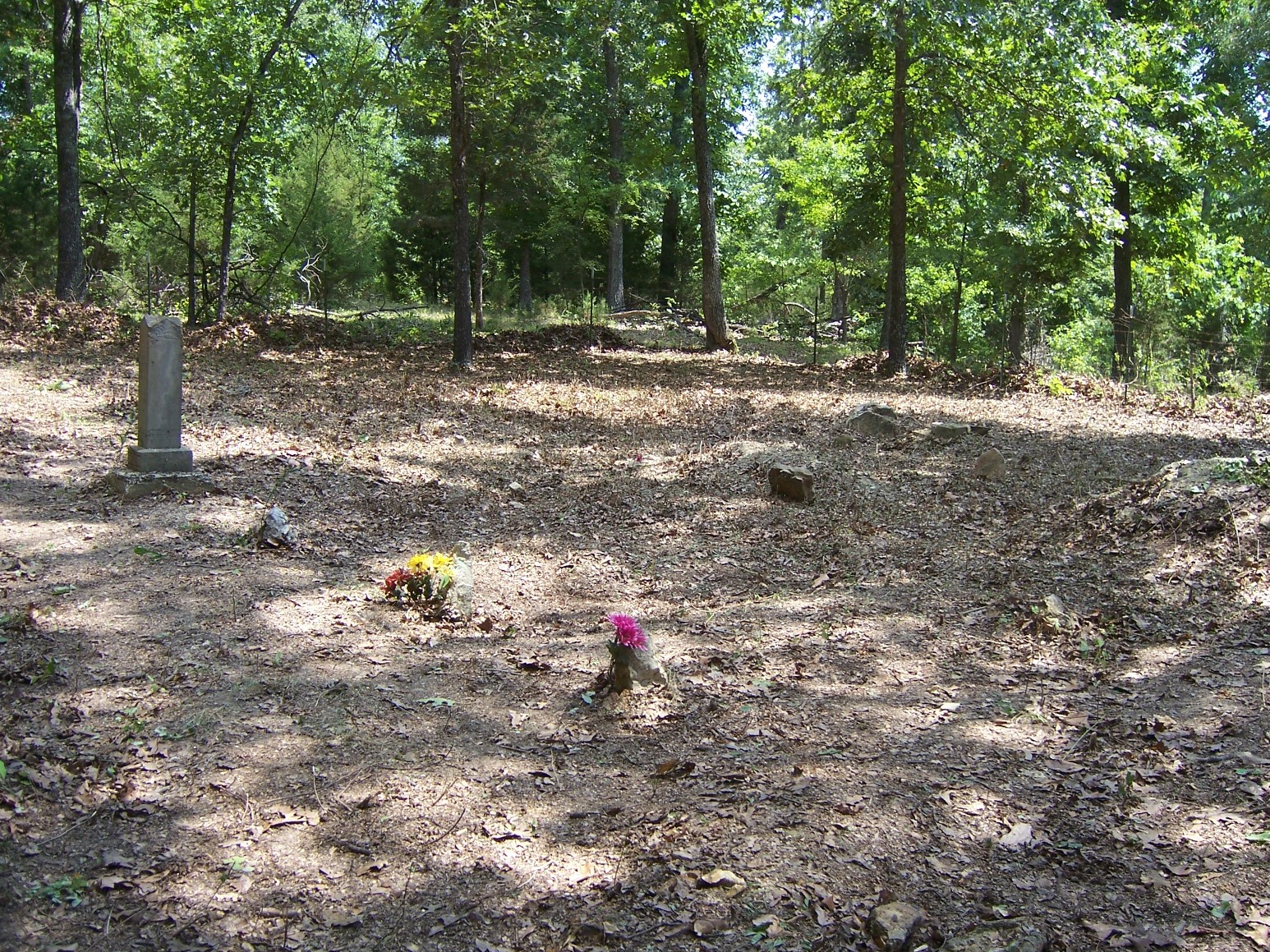 Cemeteries of Baxter County, AR Anderson Cemetery sits isolated in