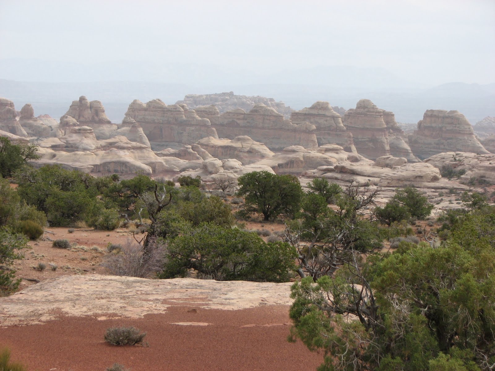 Scenic BiteWays The Patio DriveIn Blanding, UT