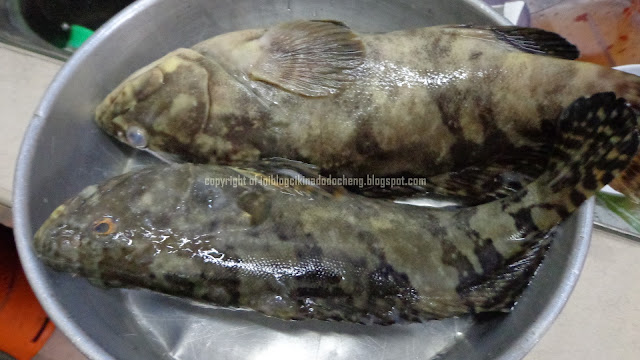 Blog Cik Ina Do Do Cheng: Ikan kerapu harimaumasak sos 