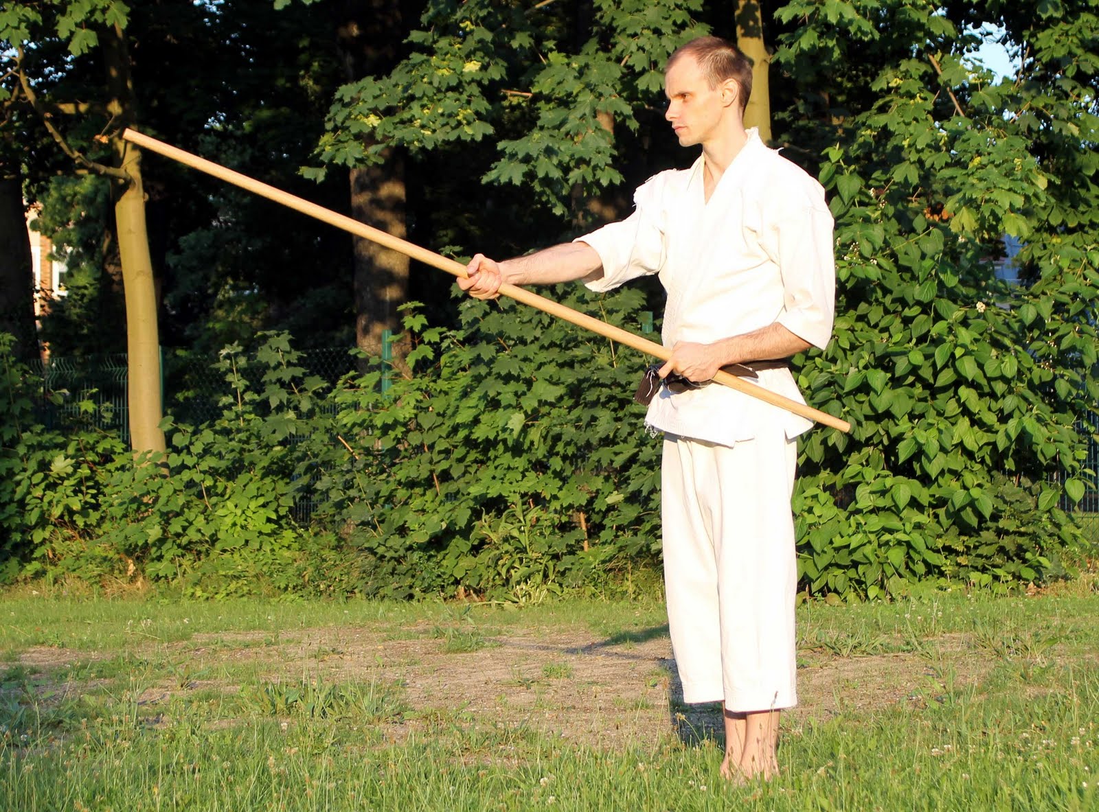 Henning Wittwer und Karate-Dō: Shūji no Kon: Die grundlegende Stock