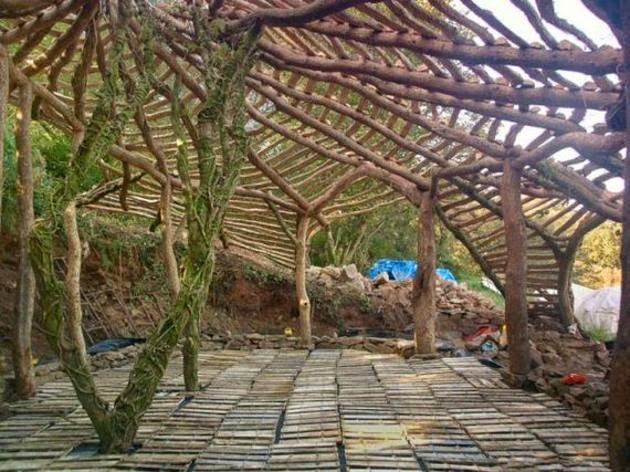 "Construir casa con arboles4"