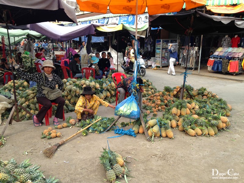 La joven Camboya - Vuelta al Mundo - Blogs de Camboya - Los Murciélagos de Battambang (1)