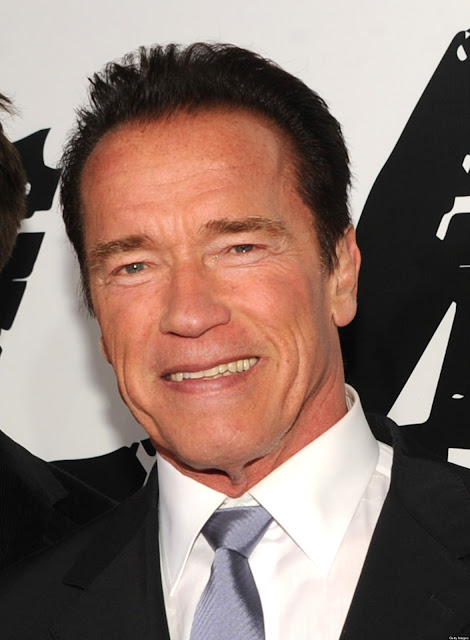 Arnold Schwarzenegger - The Best Gallery Of This Bodybuilding