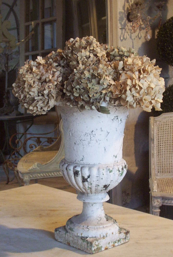 dried hydrangeas in vintage french urn