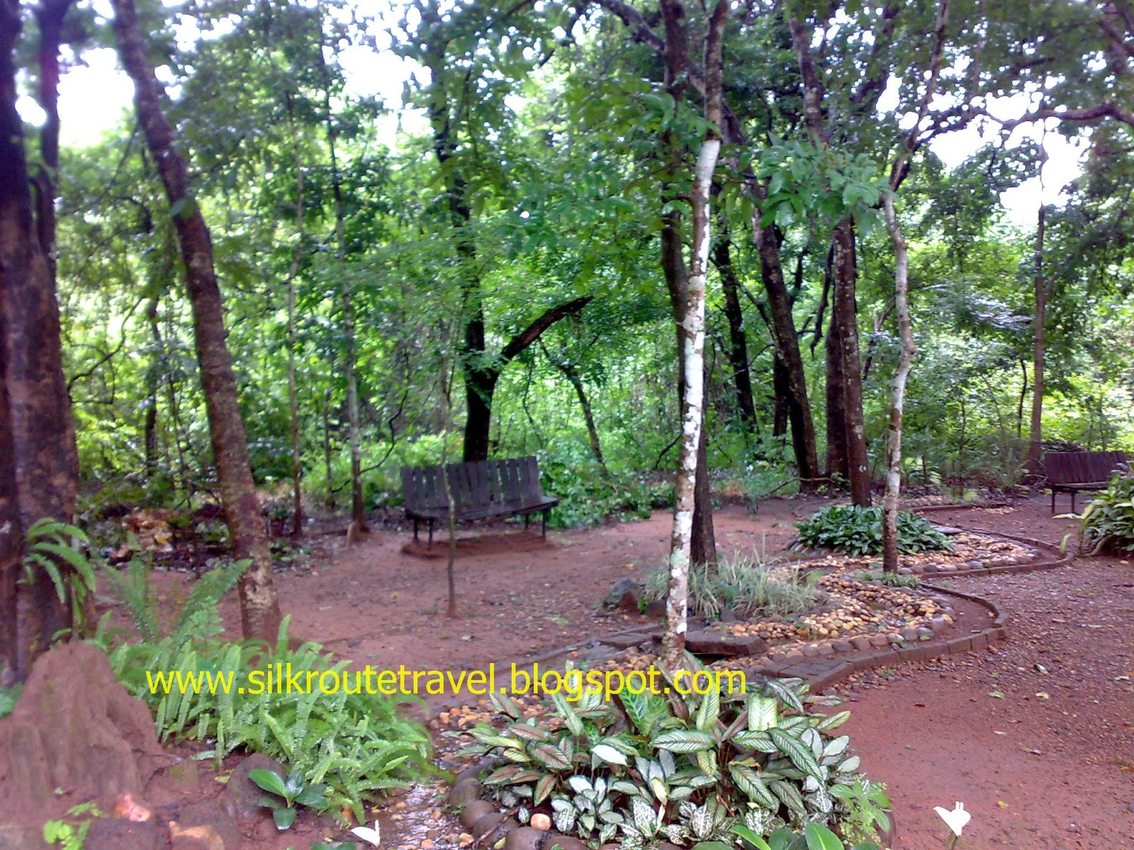 Seasoned Traveller Nilambur