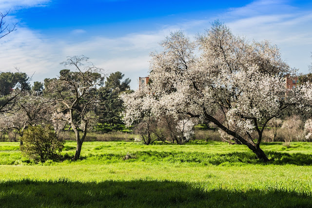 Parque Quinta de Torre Arias Parque Quinta de Torre Arias