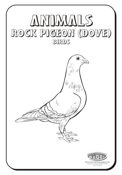 Pigeon Coloring Sheet Animals Coloring Pages Picture Pigeons