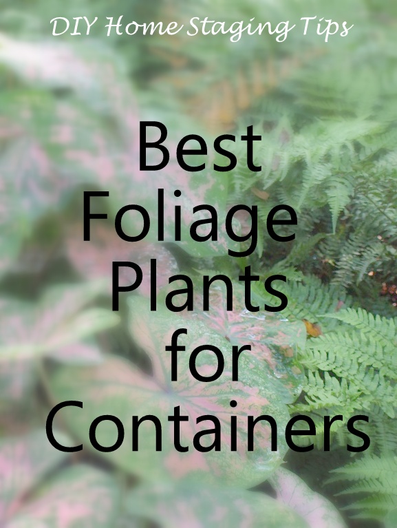 My Enchanting Cottage Garden The 10 Best Perennials For Shade