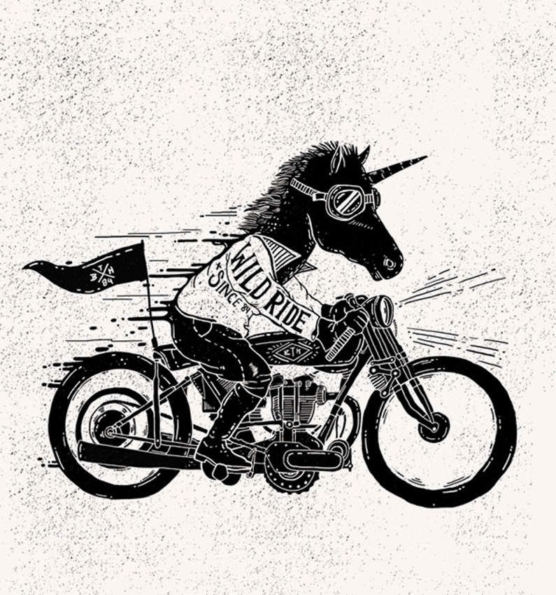 motorcycle unicorn
