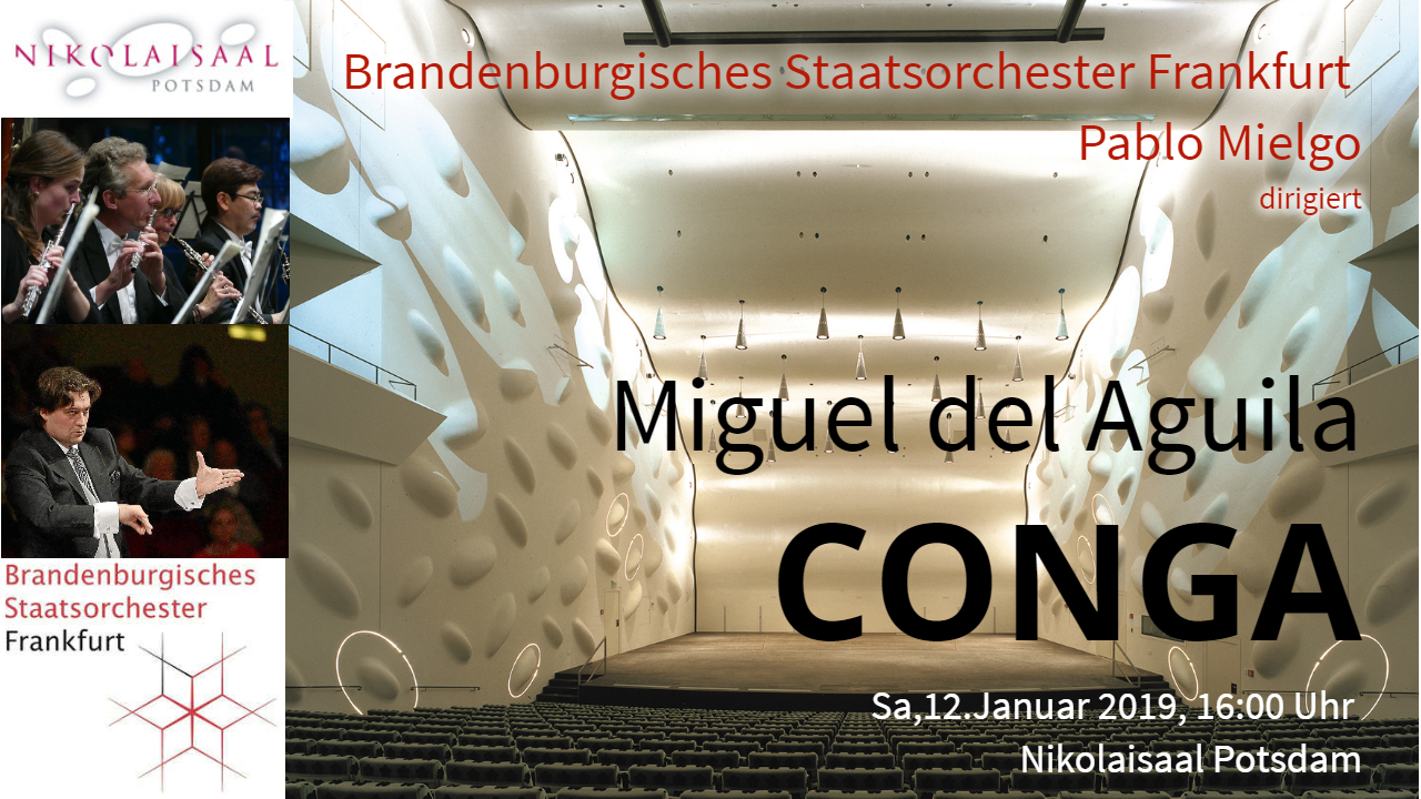 The Windy Wilsons Potsdam