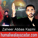 https://www.humaliwalyazadar.com/2018/09/zaheer-abbas-kazmi-nohay-2019.html