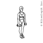 Inner-Biceps Curl Inner-Biceps Curl