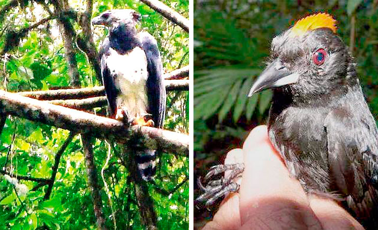 Reserva de la Biosfera del Río Plátano Honduras