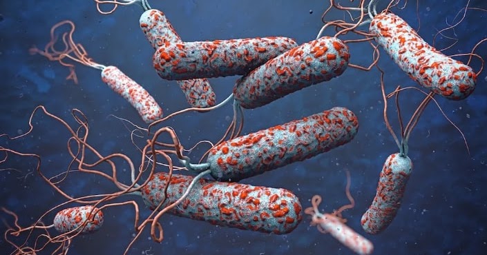 Bakteri penyebab penyebab infeksi kolera adalah