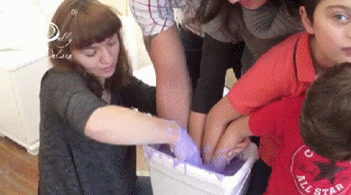 GIF.gif