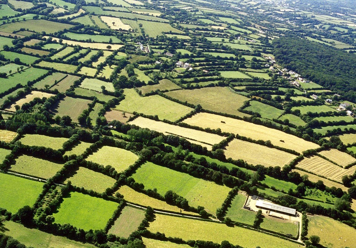 Compendium Paisajes agrarios el bocage