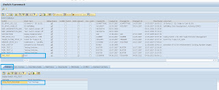 Sap Switchframework i wish i could........: Switch Framework in SAP