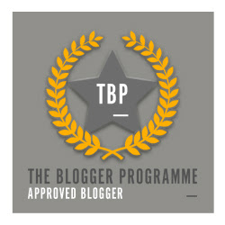The blogger Programme