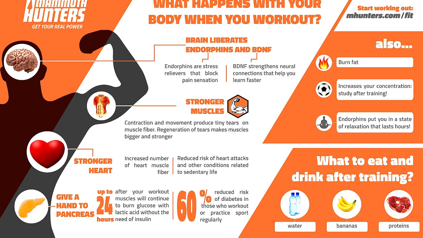 What Should Your Heart Rate Be To Lose Weight Hear Choices