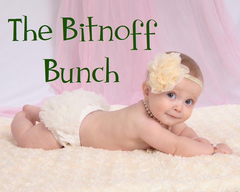 The Bitnoff Bunch