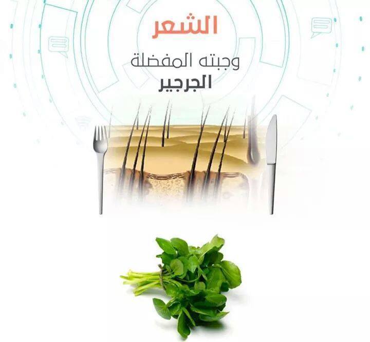 بالصور الوجبة المفضلة لكل عضو من أعضاء الجسم ، ستندهش بالصور الوجبة المفضلة لكل عضو من أعضاء الجسم ، ستندهش