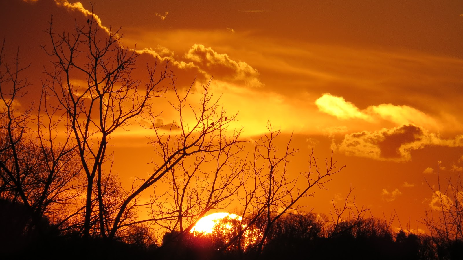 Let Your Light Shine: Sunday Sunset