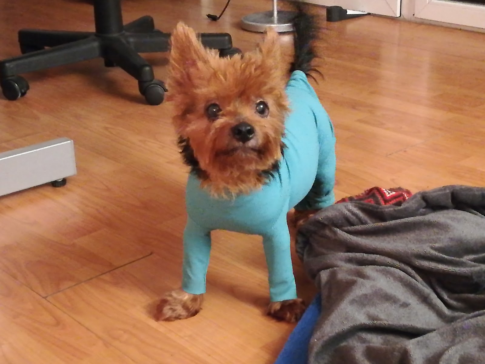 Schule Und Grosser Bruder Sonnenblumchen S Dreams