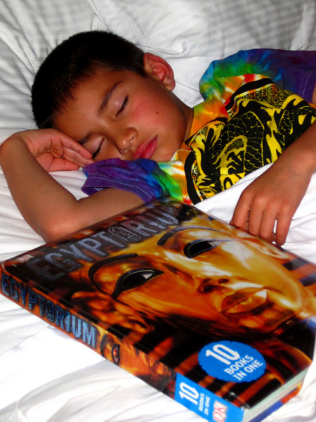 Egyptian Mint Limeade #EatLikeAnEgyptian