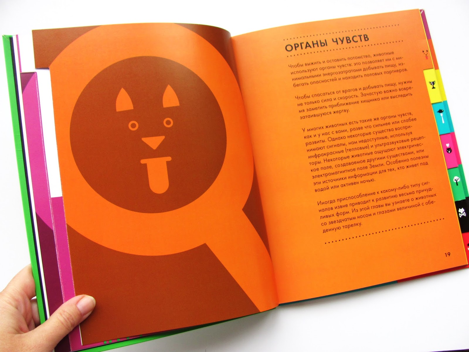 Фото Детских Энциклопедий