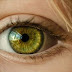 The Supplement that Reverses Vision and Hearing Loss FAST!