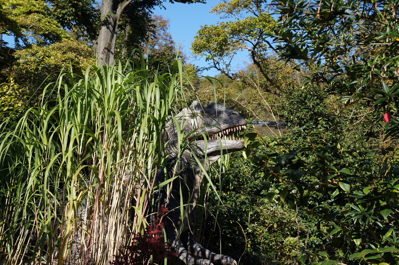 Musings of a Clumsy Palaeontologist Dinos at the Bristol Zoo