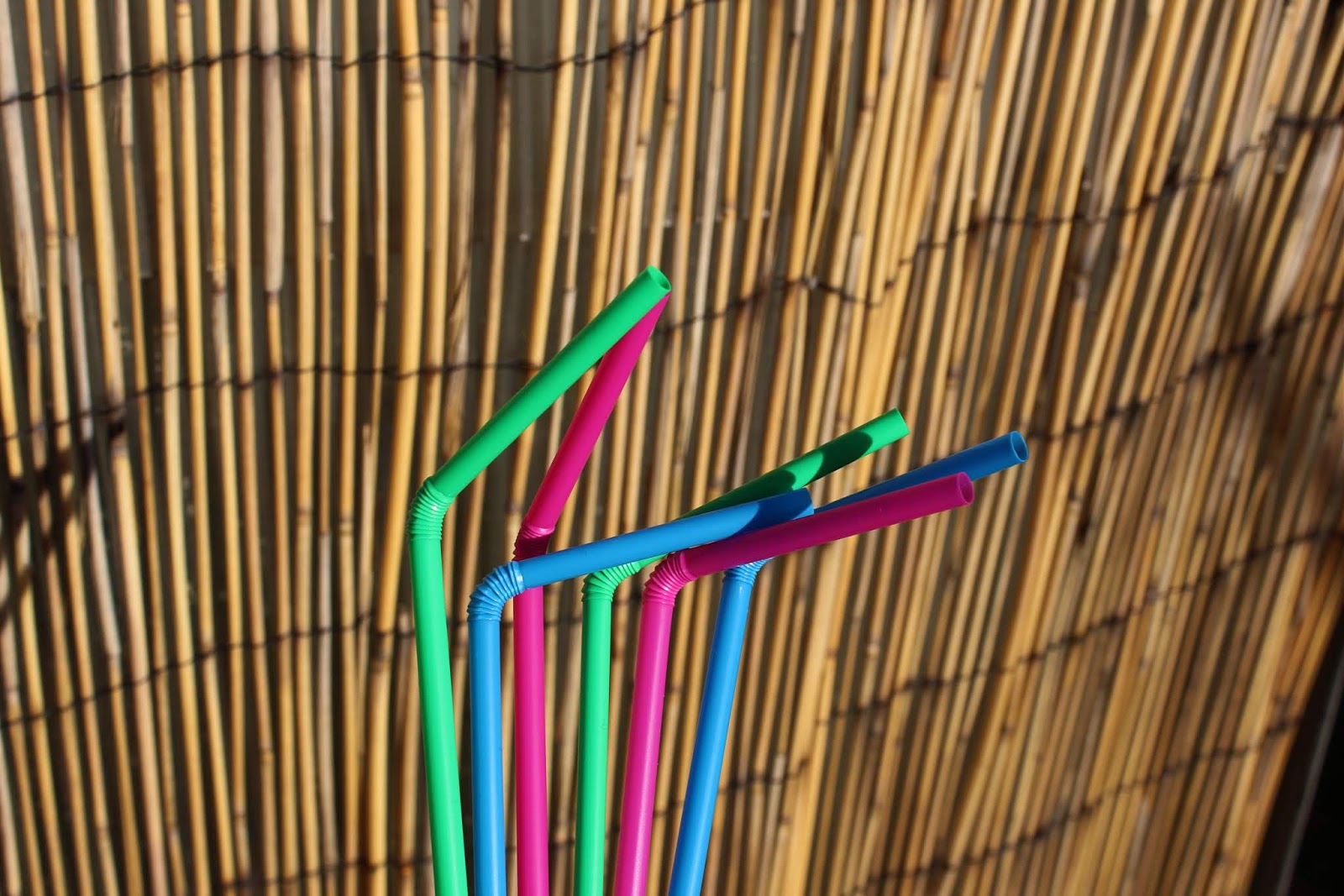 The Plastic Straw Ban & How It Harms Disabled People Shona Louise