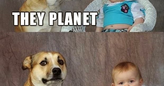Silly Bunt : Dog Baby Joke Fail