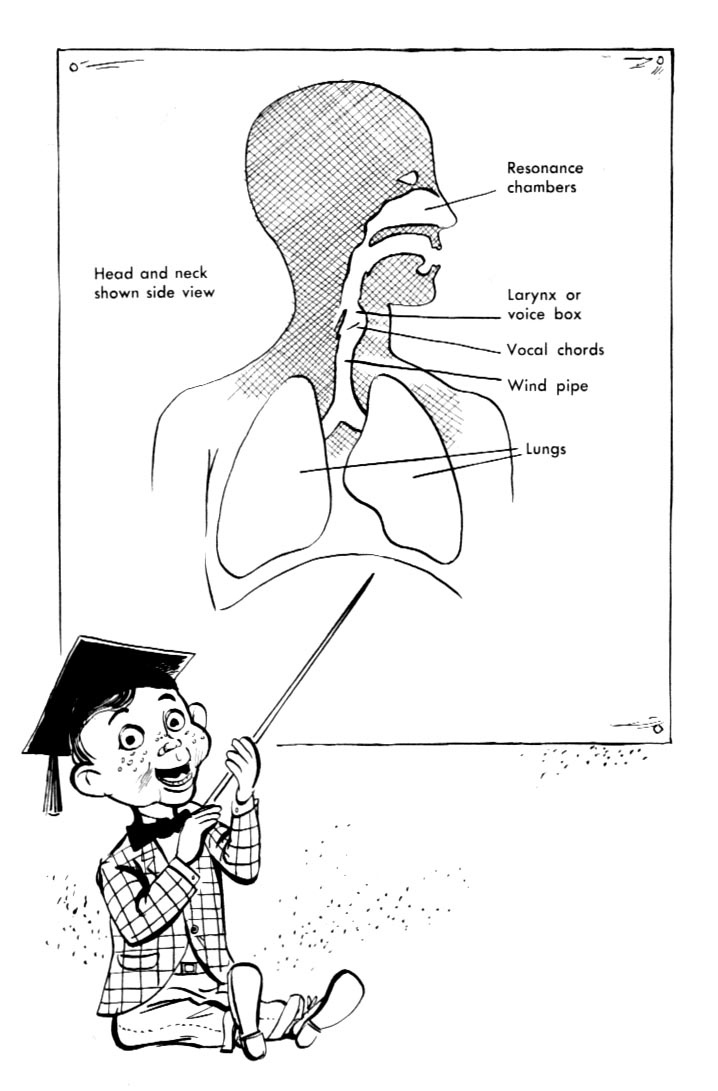 and everything else too Fun with Ventriloquism