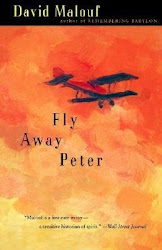 fly away peter birds books eye malouf david