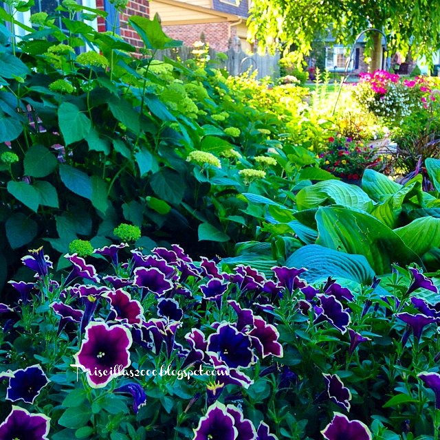 colorful garden inspiration