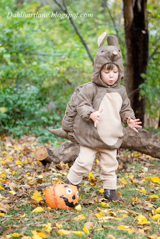 Dahlhart Lane Armadillo Costume