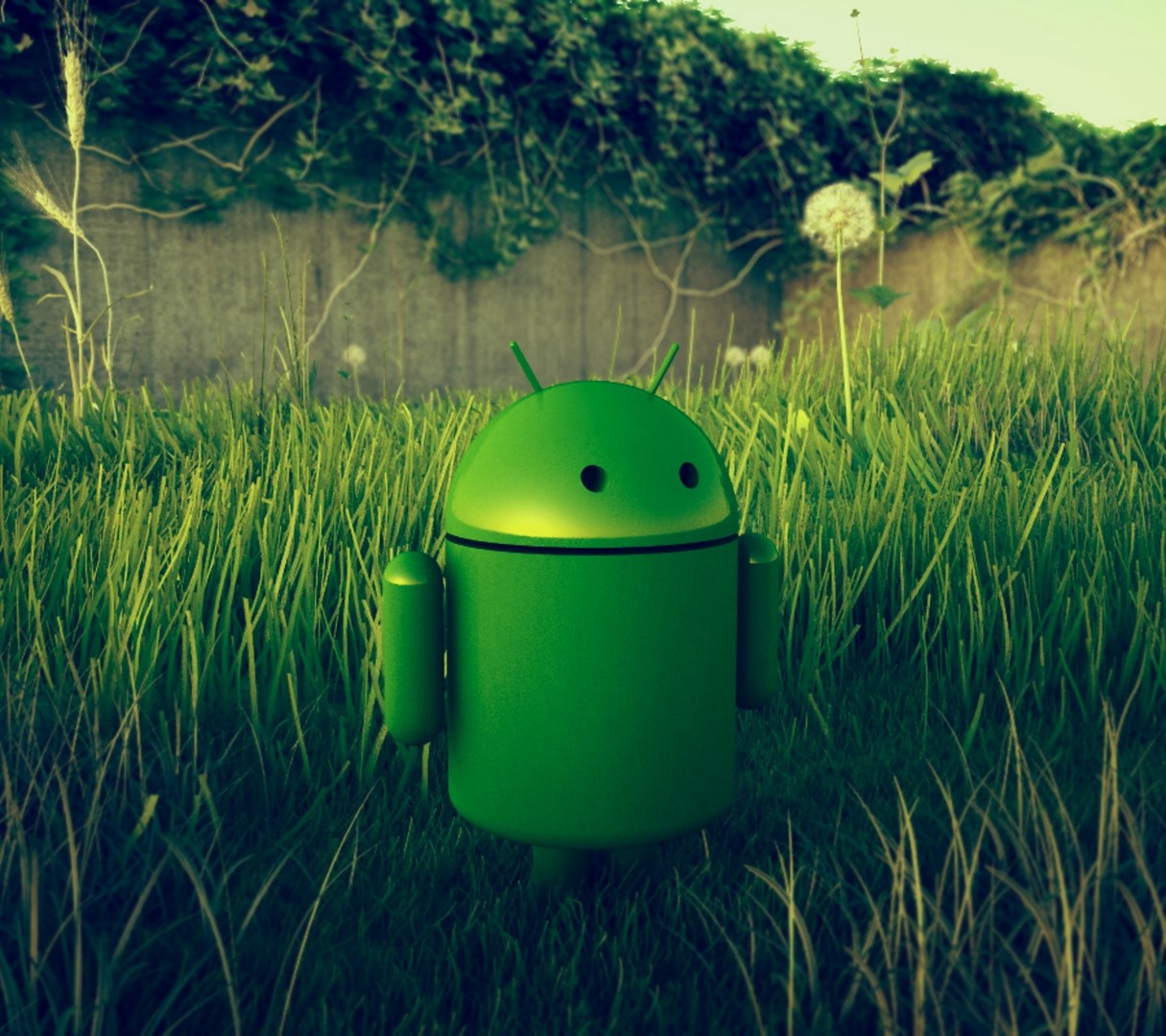 Bilgisayar için Android Duvar Kağıtları Rooteto