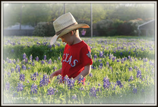 Texas  Spring